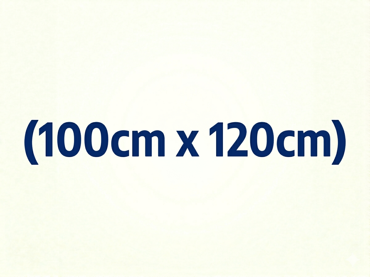 100×120cm